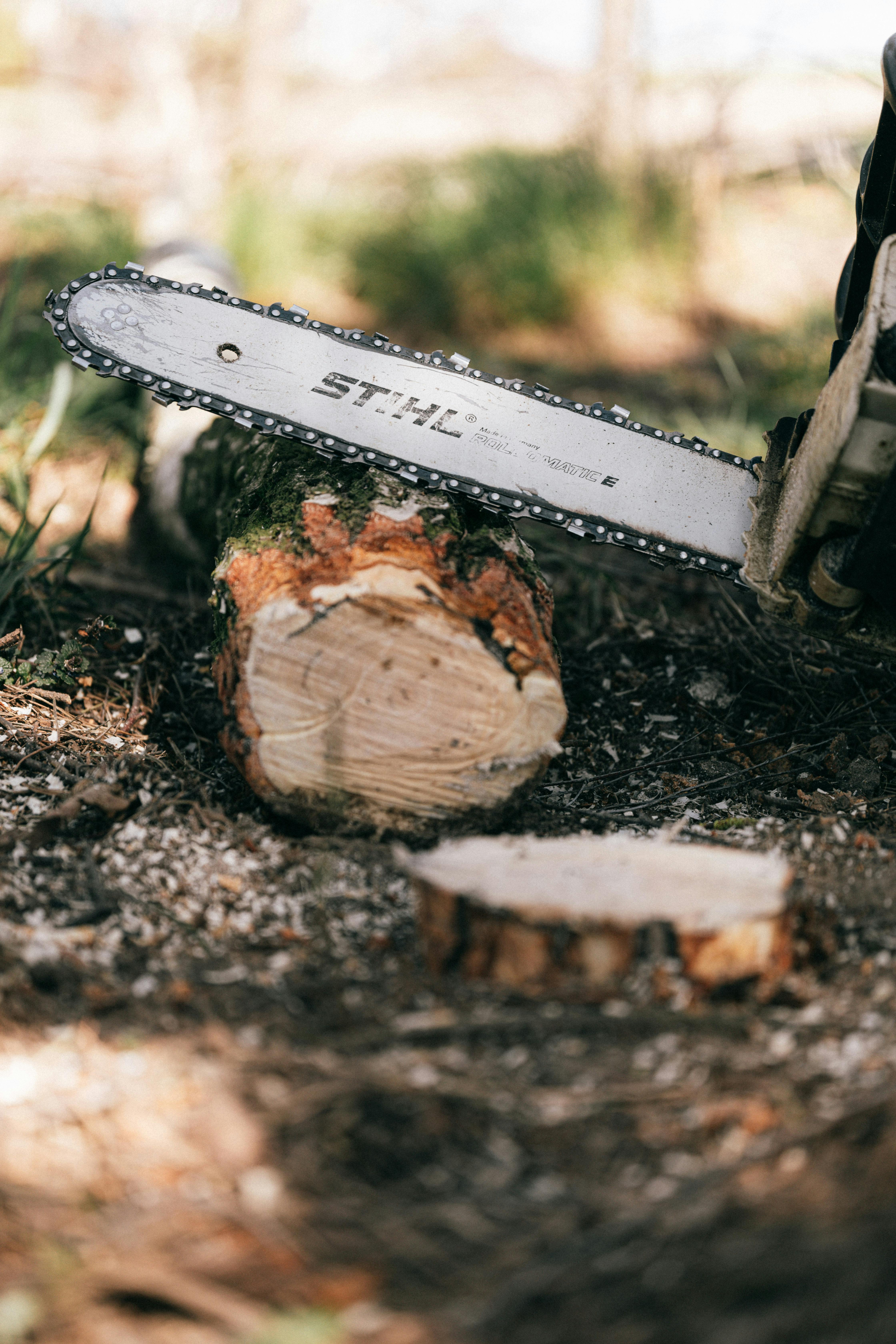 Stihl Akku Kettensäge bei der Holzernte